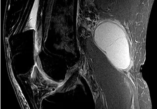 Doctor Ernesto Rivera