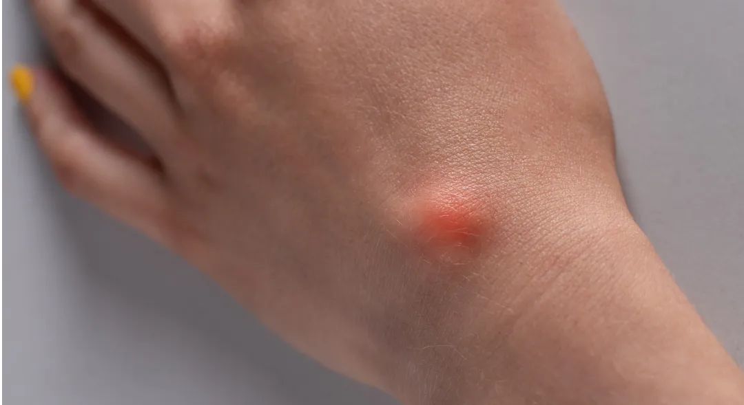 Doctor Ernesto Rivera