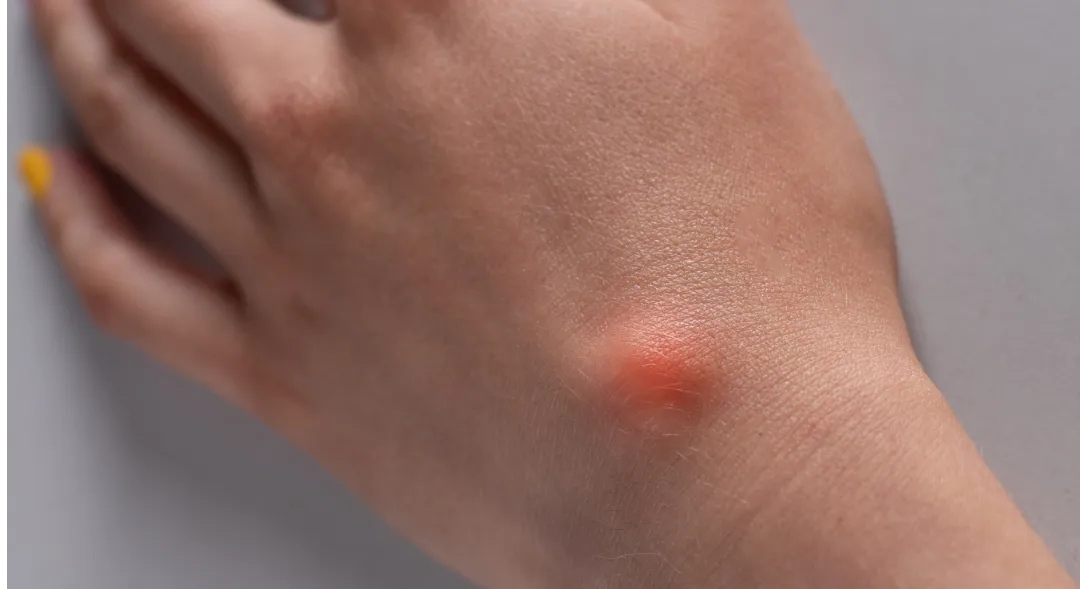 Doctor Ernesto Rivera