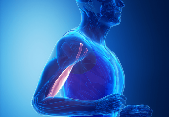 Doctor Ernesto Rivera