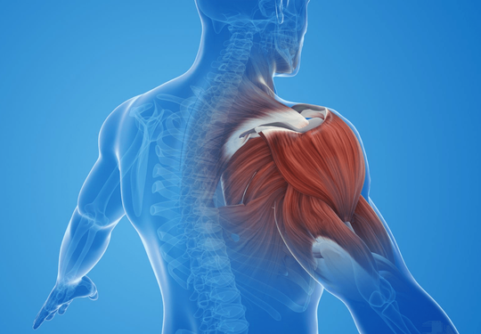 Doctor Ernesto Rivera