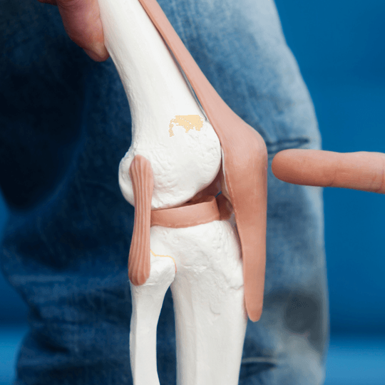 Doctor Ernesto Rivera