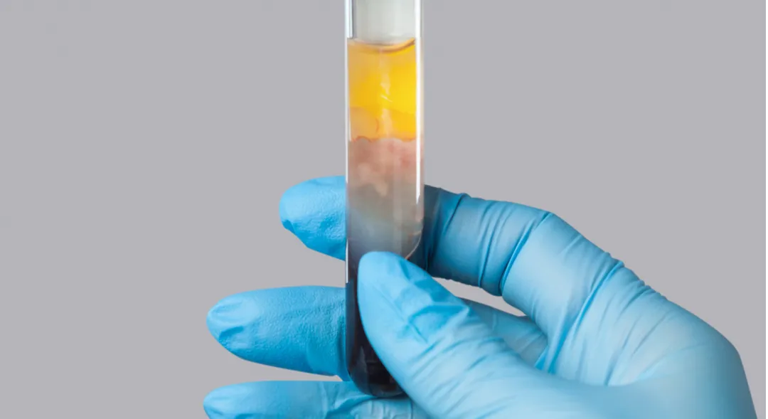 Doctor Ernesto Rivera