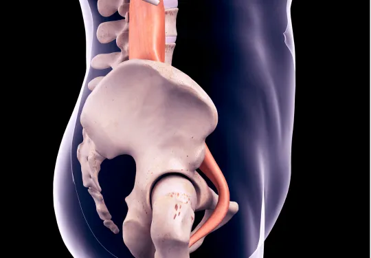 Doctor Ernesto Rivera