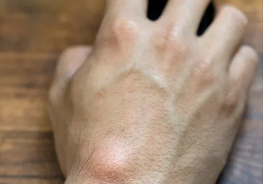 Doctor Ernesto Rivera