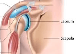 Doctor Ernesto Rivera